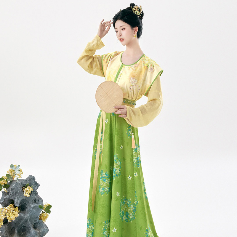 Traditional-Tang-Dynasty-Women-Hanfu-Outfit-Vintage-Style-2 Traditional Tang Dynasty Women Hanfu Outfit Vintage Style