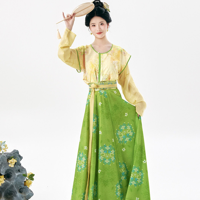 Traditional-Tang-Dynasty-Women-Hanfu-Outfit-Vintage-Style-3 Traditional Tang Dynasty Women Hanfu Outfit Vintage Style
