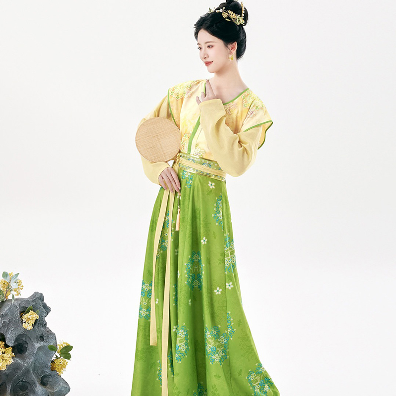 Traditional-Tang-Dynasty-Women-Hanfu-Outfit-Vintage-Style-4 Traditional Tang Dynasty Women Hanfu Outfit Vintage Style
