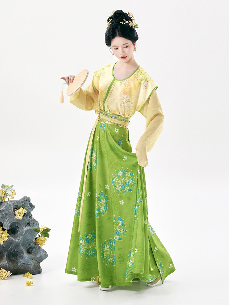 Traditional Tang Dynasty Women Hanfu Outfit Vintage Style