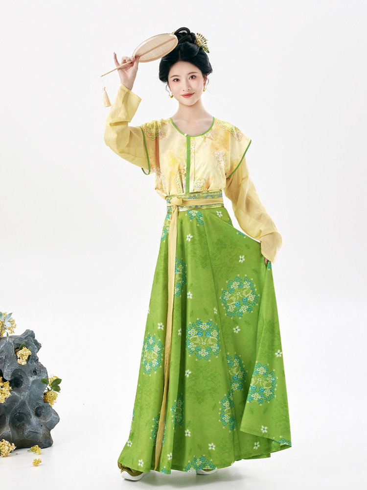 Traditional Tang Dynasty Women Hanfu Outfit Vintage Style