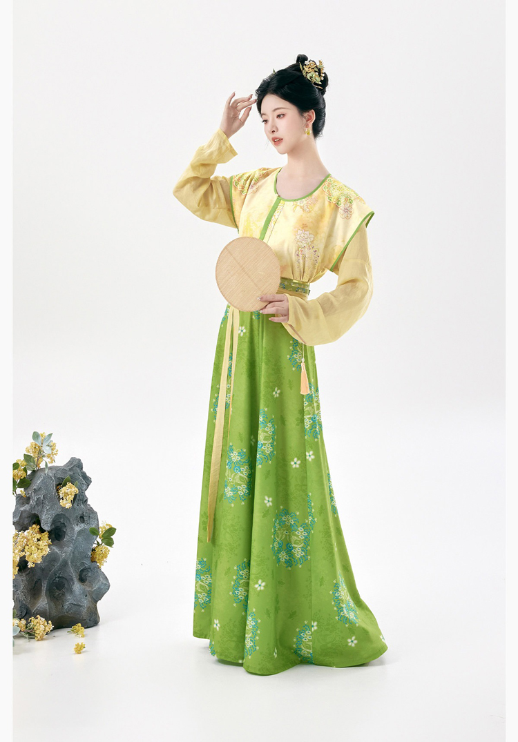 Traditional Tang Dynasty Women Hanfu Outfit Vintage Style