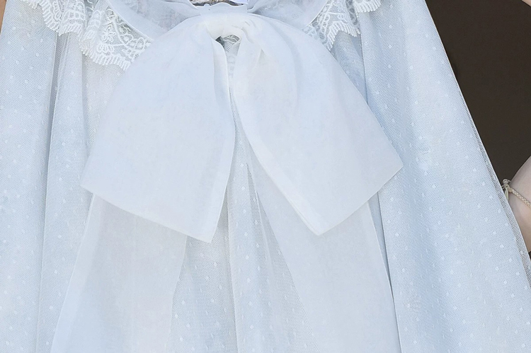 Women Casual Hanfu-Inspired Sleeveless Outfit in Blue Tones