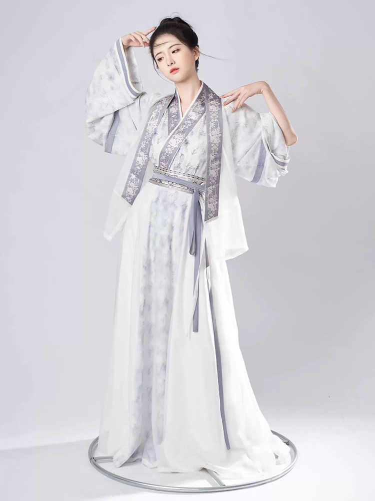 Women Spring Wuxia Style Jin Dynasty Hanfu Set Simple Elegant Dress