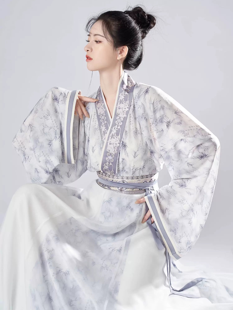 Women Spring Wuxia Style Jin Dynasty Hanfu Set Simple Elegant Dress