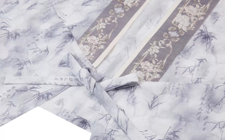 Women Spring Wuxia Style Jin Dynasty Hanfu Set Simple Elegant Dress